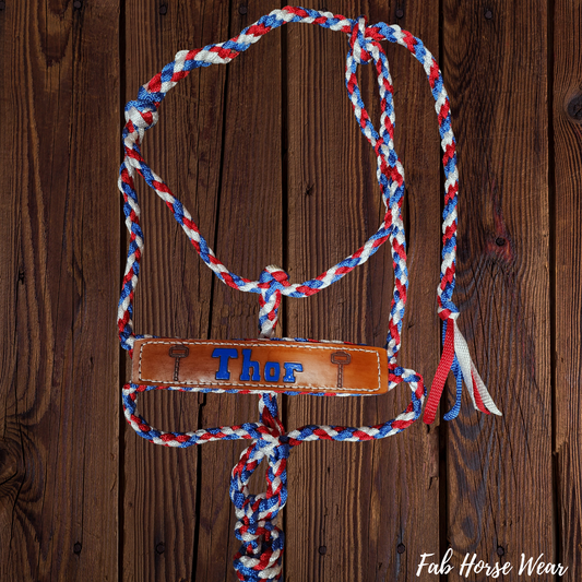 Custom Mule Tape Halter with Leather Name Patch