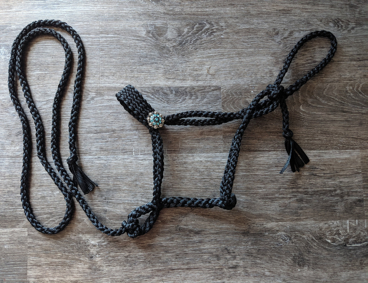 Black Mule Tape Halter