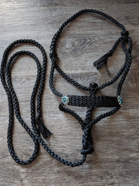 Black Mule Tape Halter